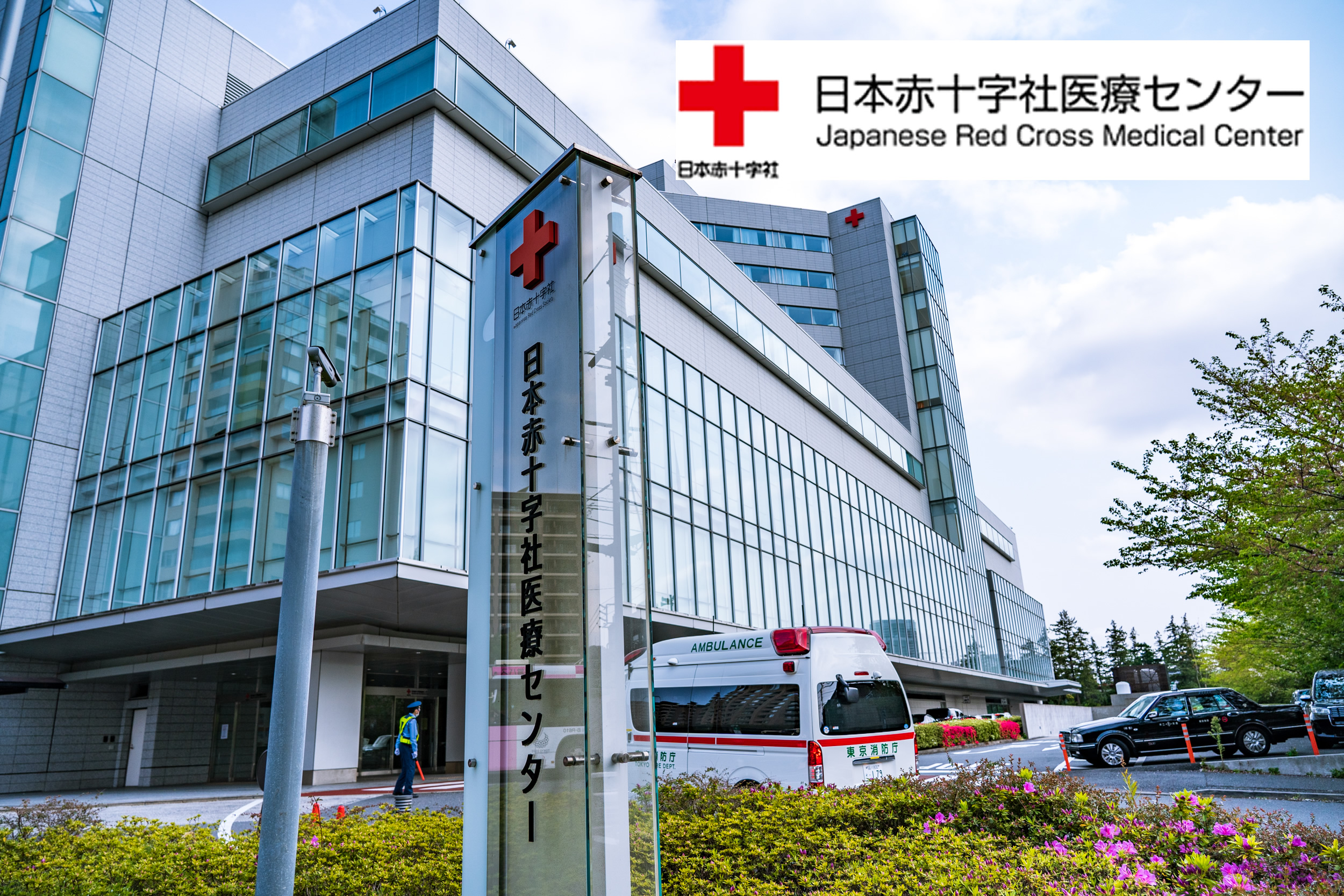 日本红十字医疗中心
