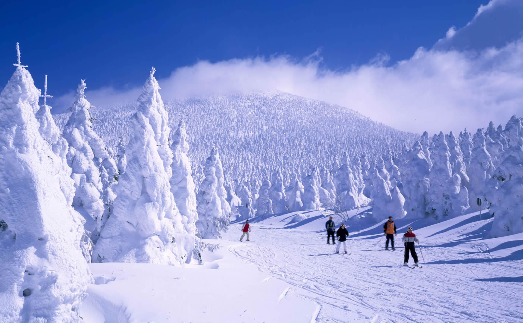 藏王温泉滑雪场（山形县）
